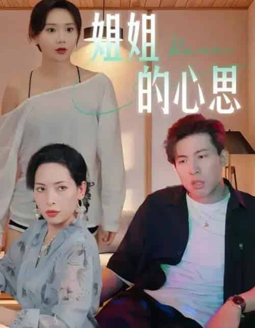 姐姐的心思 (20集全) 陈安&王瑶-初遇资源网