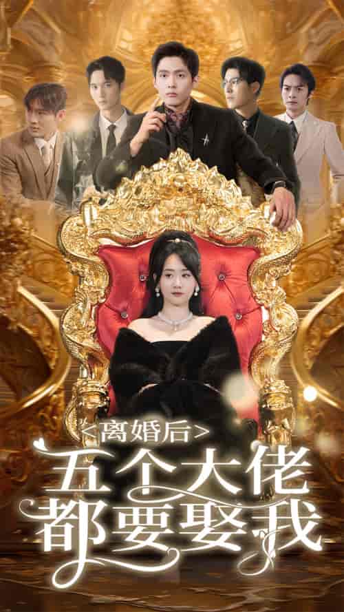 离婚后五个大佬都要娶我（80集）-初遇资源网