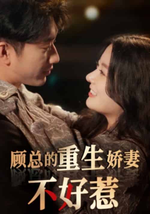 顾总的重生娇妻不好惹(60集)林初-初遇资源网