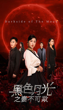 黑色月光之妻不可欺（39集全）-初遇资源网