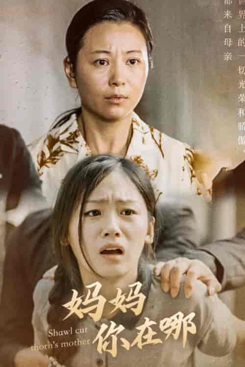 春风不改旧时波（70集）-初遇资源网