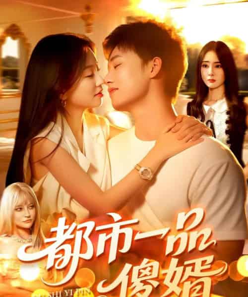 都市一品傻婿 （96集）-初遇资源网