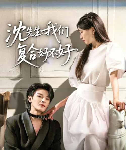 沈先生我们复合好不好（60集）李彬航＆刘玉姣-初遇资源网