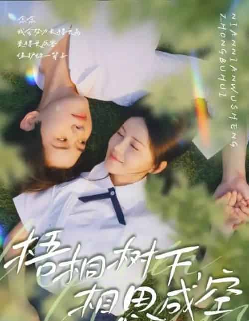 梧桐树下,相思成空(69集全)游雅&刘家铭-初遇资源网