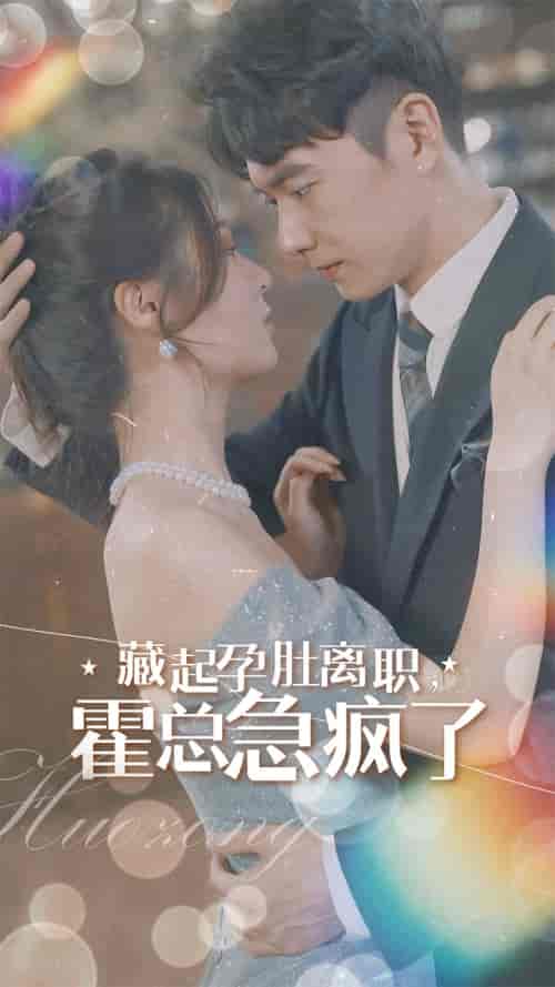藏起孕肚离职，霍总急疯了（93集）郑晨雨-初遇资源网