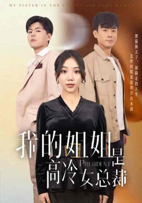 我的姐姐是高冷女总裁（42集全）徐劲＆杨紫玲-初遇资源网