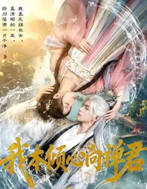 我本倾心向禅君（65集全）AI-初遇资源网