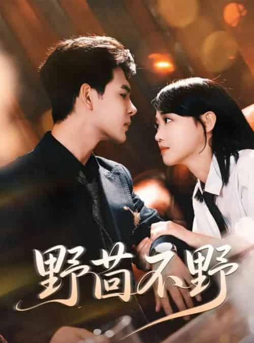 野茴不野（67集）靳旺＆龚芳妮-初遇资源网