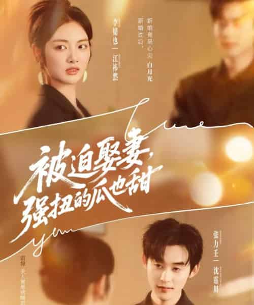 被迫娶妻强扭的瓜也甜＆被迫娶妻，强扭的瓜也甜（73集全）张力壬＆李婧也-初遇资源网