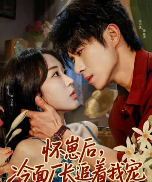 怀崽后，冷面厂长追着我宠（80集全）杨宇斌＆彭丹丹-初遇资源网
