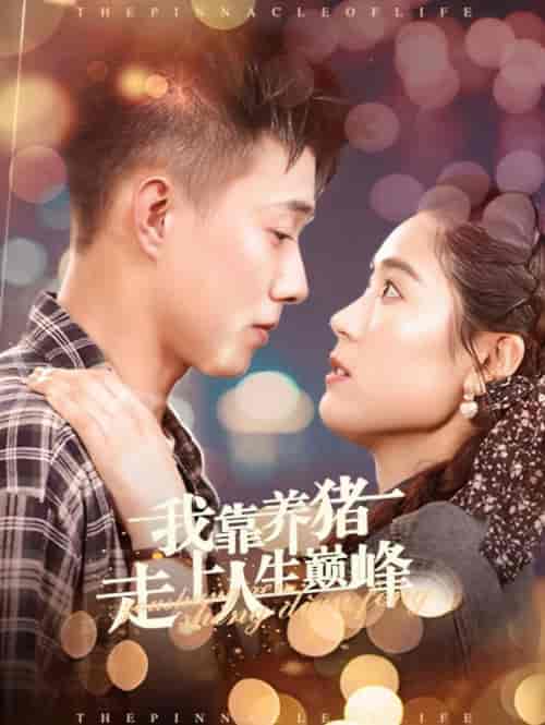 我靠养猪走上人生巅峰（60集全）黄文博＆翟一莹-初遇资源网