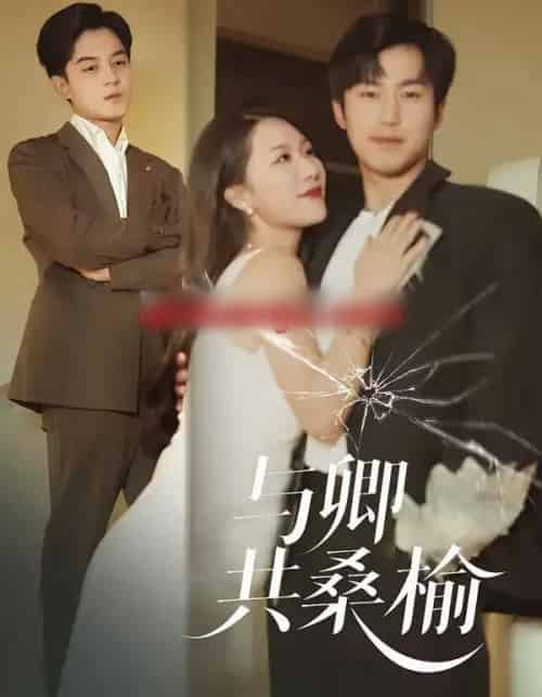 与卿共桑榆（63集全）贺龙天＆钟嘉玲-初遇资源网