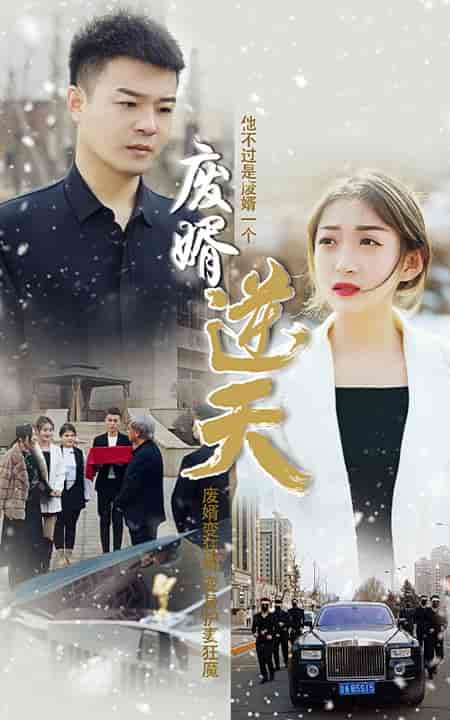 废婿逆天-101集-初遇资源网