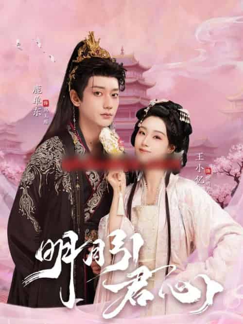 明月引君心（74集全）王小亿＆鹿单东-初遇资源网