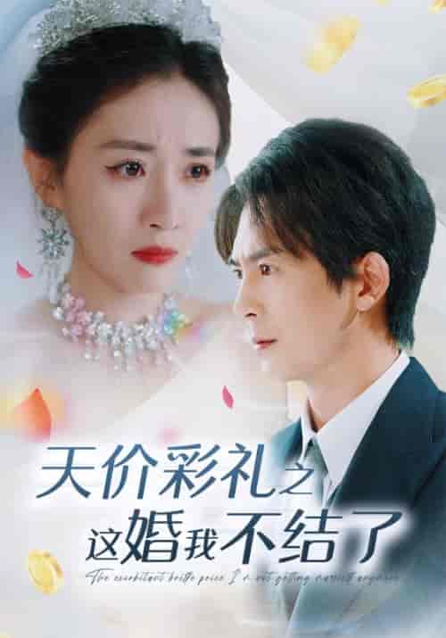 天价彩礼之这婚我不结了（32集全）邰靖懿-初遇资源网