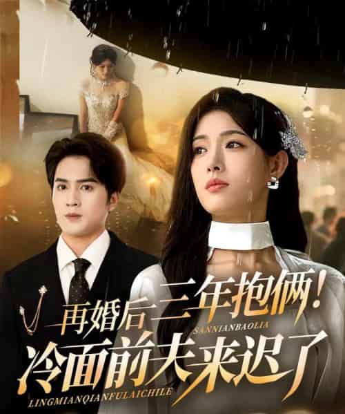 再婚后三年抱俩！冷面前夫来迟了（63集全）周士超＆姜钰佳-初遇资源网
