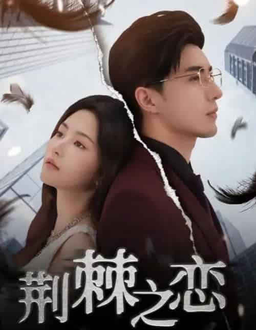 荆棘之恋（60集）李柏言＆周妍坤-初遇资源网