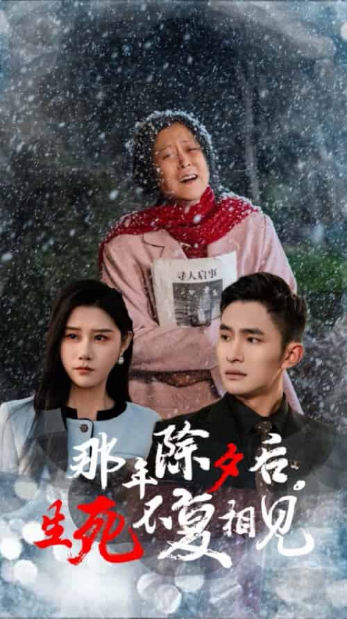 那年除夕后生死不复相见（48集）魏昕怡-初遇资源网