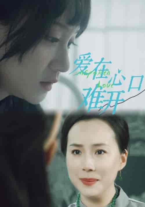 爱在心口难开（97集）吴婧鑫-初遇资源网