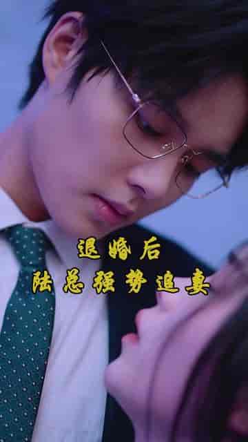 悔婚后，我变成陆总的心尖宠（80集）-初遇资源网