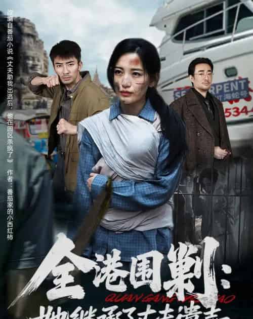 全港围剿：她继承了丈夫遗志（84集全）李雪莹＆张瀚文-初遇资源网