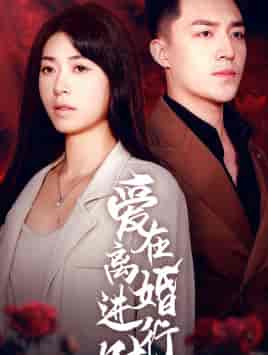 爱在离婚进行时（61集）-初遇资源网