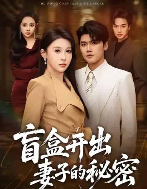 盲盒开出妻子的秘密(40集全)林嘉翊&张灵钰-初遇资源网