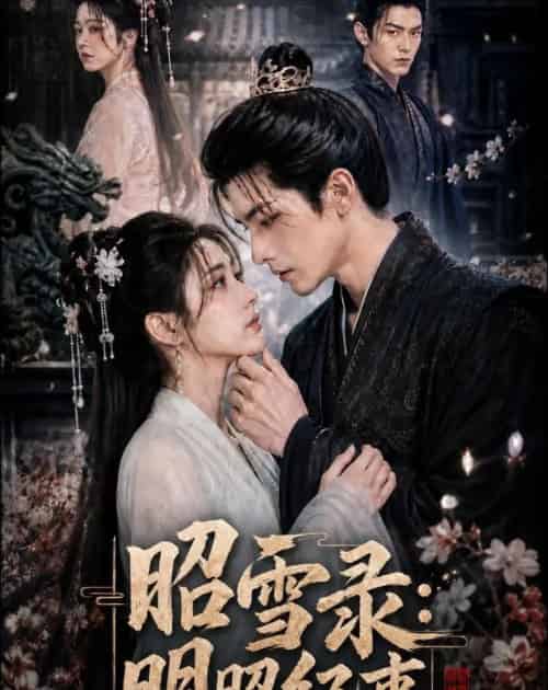昭雪录:明昭纪事 昭雪录:明昭纪事