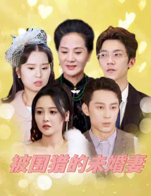 被围猎的未婚妻（83集全）-初遇资源网