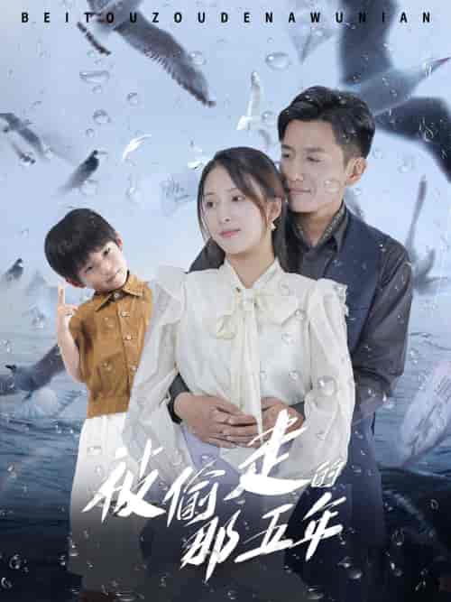 被偷走的那五年（70集）-初遇资源网