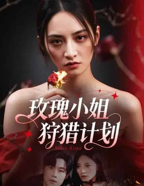 玫瑰小姐狩猎计划 （60集全）敖日格乐＆李虹艺-初遇资源网