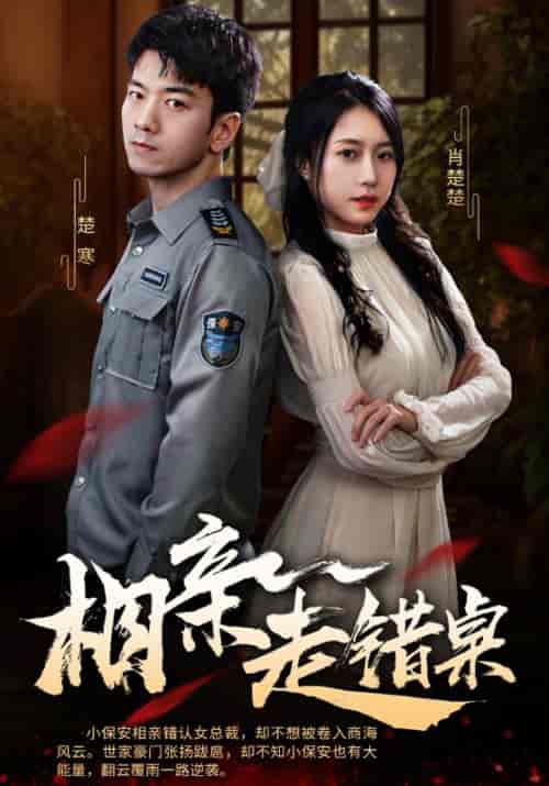 相亲走错桌（88集全）楚寒＆肖楚楚-初遇资源网