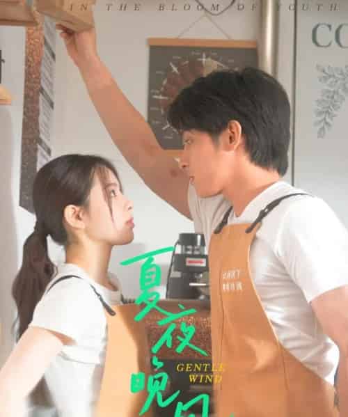 夏夜晚风（12集）何衍朝＆蔡子伊-初遇资源网