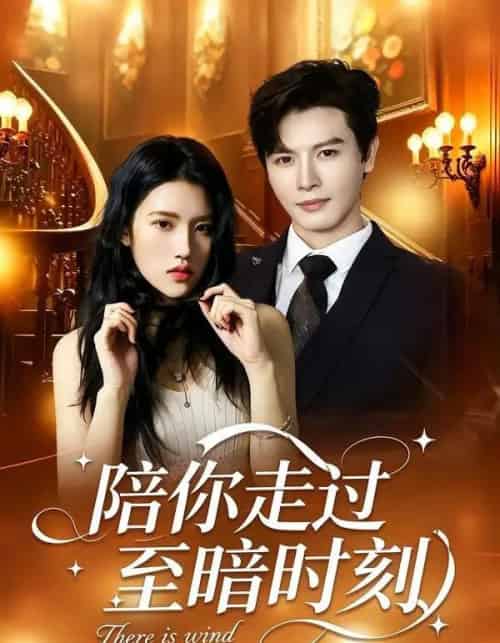 陪你走过至暗时刻(80集全)李彬航&张沐桐-初遇资源网
