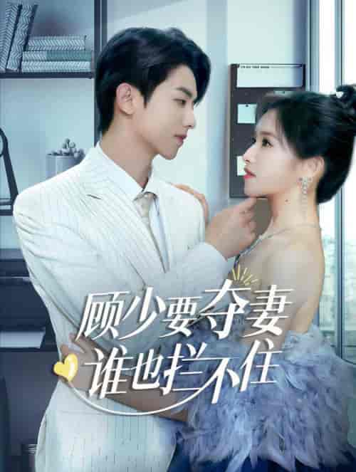 顾少要夺妻谁也拦不住＆隐婚小十岁老公超宠我（63集全）-初遇资源网