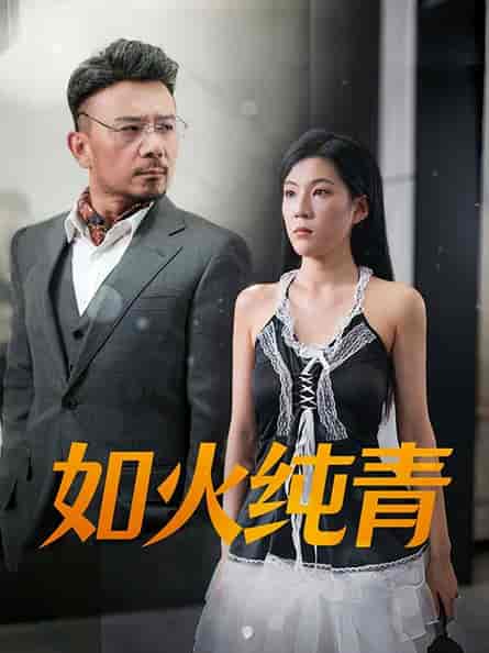 如火纯青（45集全）-初遇资源网
