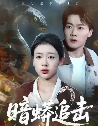 暗蟒追击(35集全)王盈心&赵文硕-初遇资源网