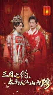 三日之约太子以江山为聘(30集全)徐涵琳-初遇资源网