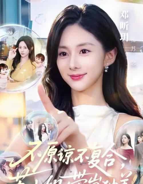 不原谅不复合,苏小姐带崽独美 不原谅不复合,苏小姐带崽独美