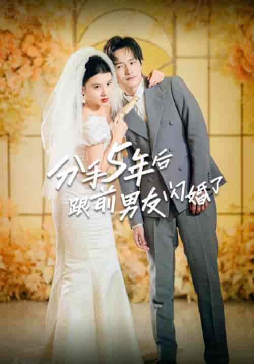 分手5年后跟前男友闪婚了（80集）季寒声＆顾芊-初遇资源网