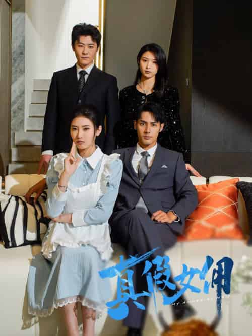 真假女佣(56集全)潘子剑&申芳赫-初遇资源网