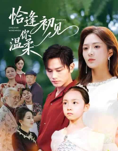 恰逢初见你温柔(86集全)曹景皓&刘美娜-初遇资源网