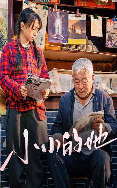 小小的她(60集全)-初遇资源网