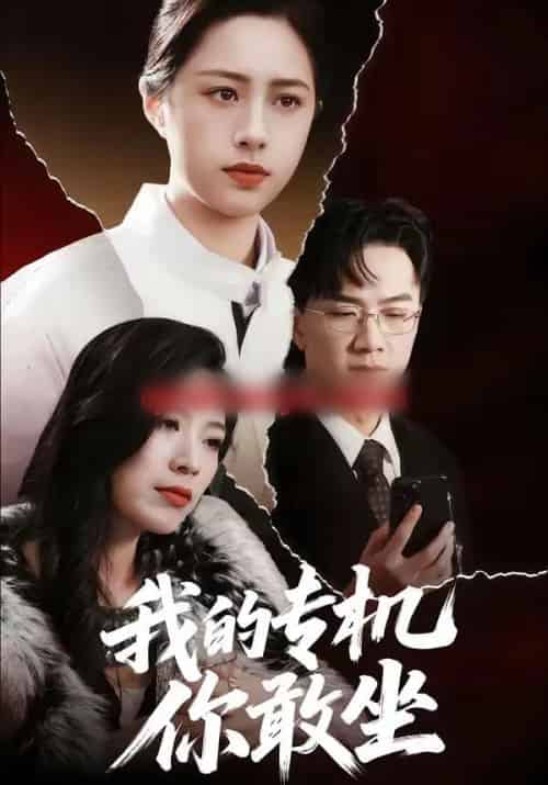 我的专机你敢坐（62集全）王婧琦＆周家洪-初遇资源网