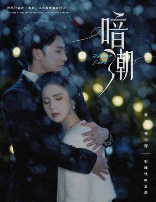 暗潮（58集全）淮文＆宋彧佳＆李兼任＆＆蹇代莉-初遇资源网