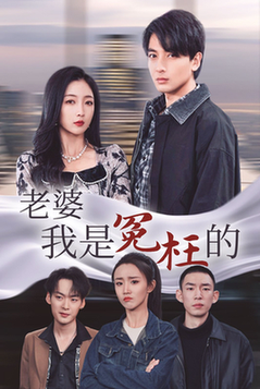 老婆我是冤枉的（31集全）-初遇资源网