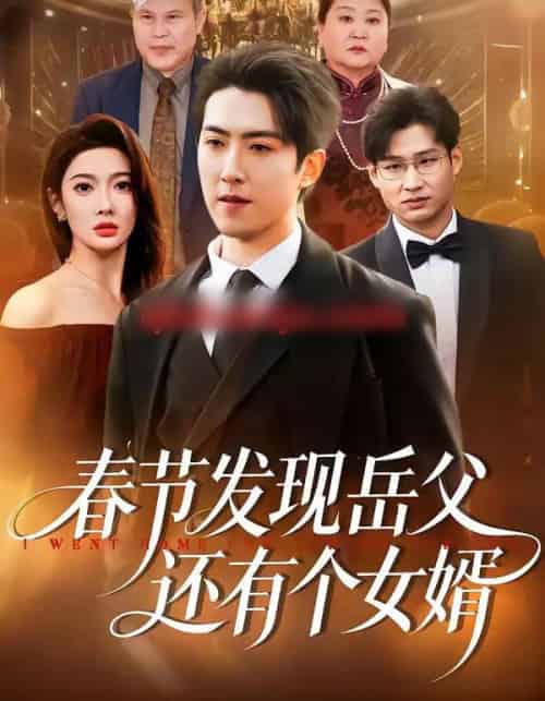 春节发现岳父还有个女婿（50集全）赵阿东＆沈玥妡-初遇资源网