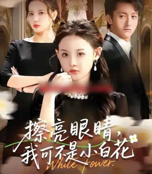 擦亮眼睛，我可不是小白花（60集全）刘安歌＆李泽源-初遇资源网