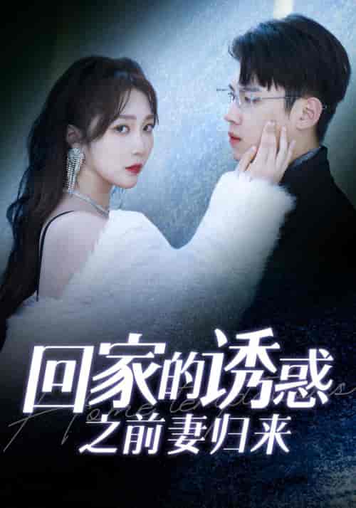 回家的诱惑之前妻归来（87集）-初遇资源网