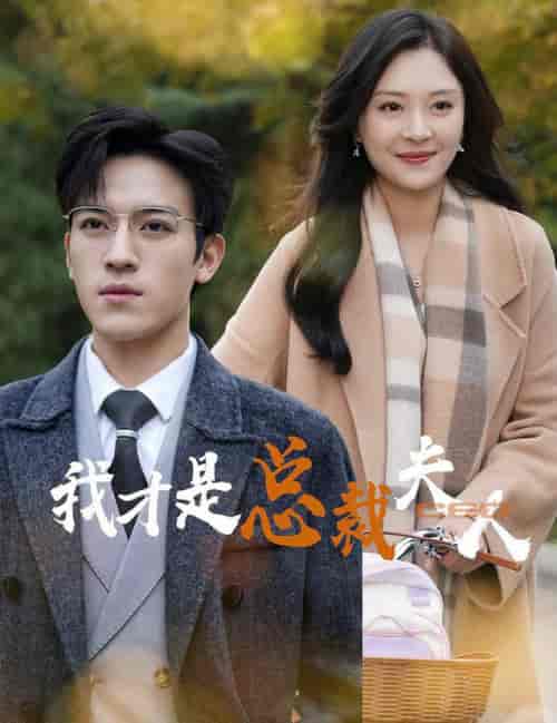 我才是总裁夫人（41集全）-初遇资源网